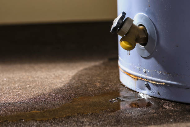 Best Local water damage restoration  in Gambrills, MD