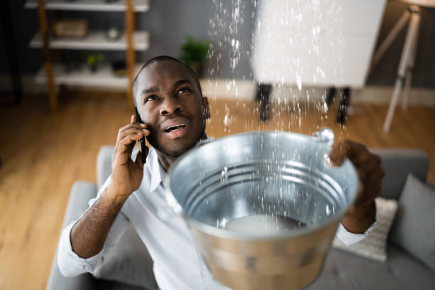 Best Water damage restoration experts  in Gambrills, MD
