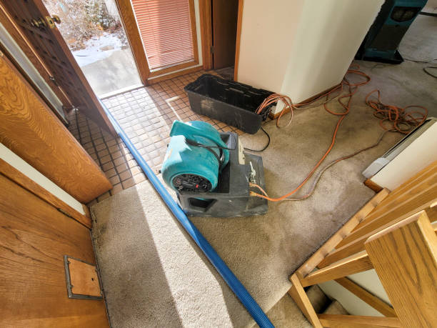 Best Basement water damage restoration  in Gambrills, MD