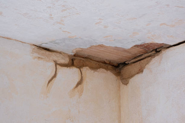 Reliable Gambrills, MD Water damage restoration Solutions