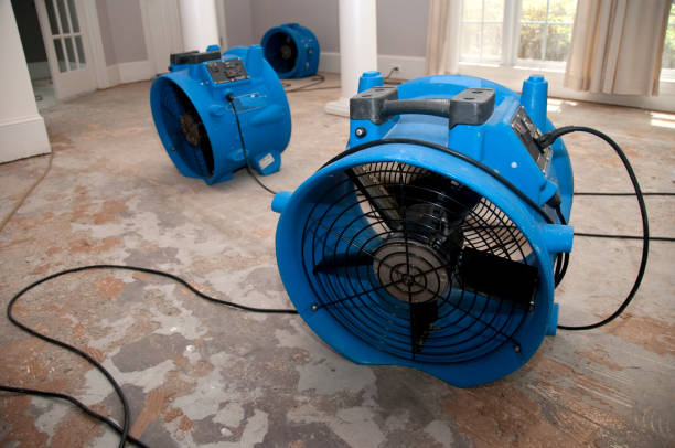 Best Water damage contractors near me  in Gambrills, MD