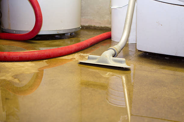 Best Professional water damage repair  in Gambrills, MD