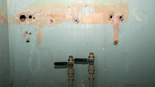 Water damage restoration mold remediation in Gambrills, MD