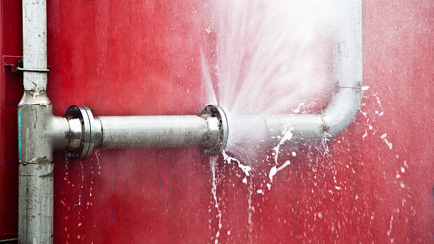 Best Professional water damage repair  in Gambrills, MD